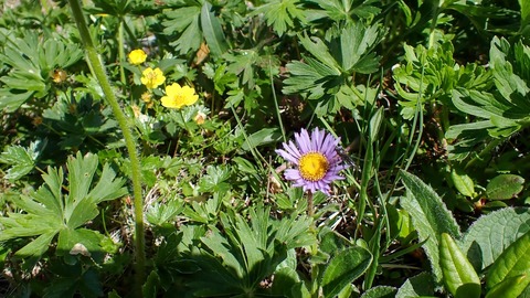 P6300110