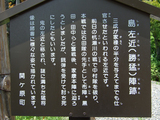 �纸���2