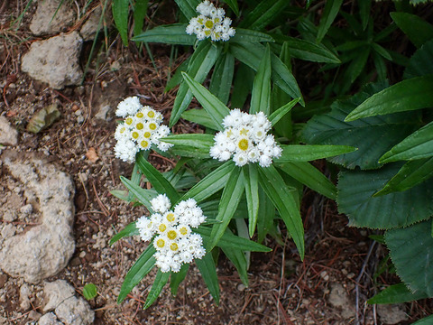 P8030116