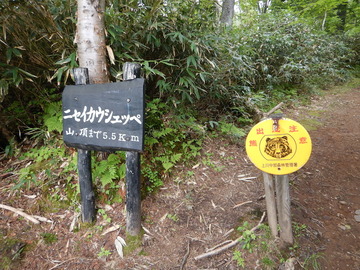 DSCN5114