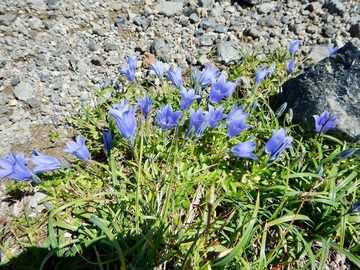 DSCN3691