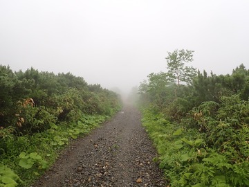 P7030012