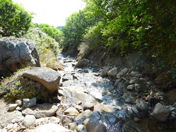 DSCN3364
