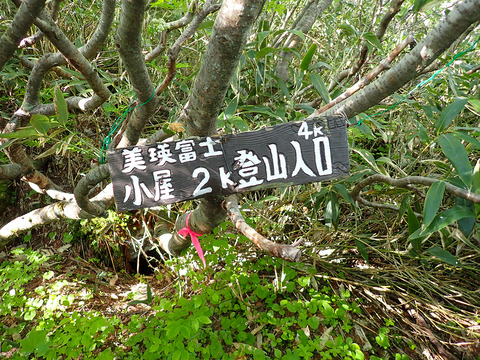 P7050037