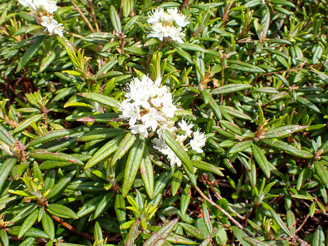P7050172