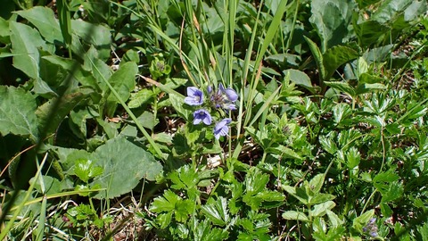 P6300149