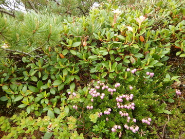 DSCN5056