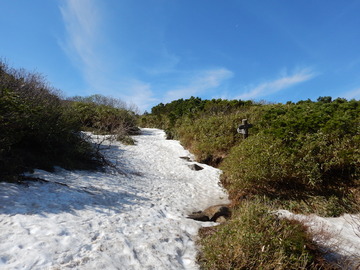 DSCN7354