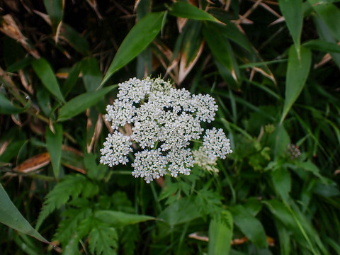 P8030061