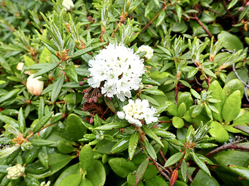 P7030145