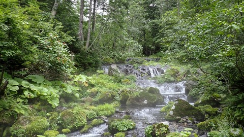 P8030024