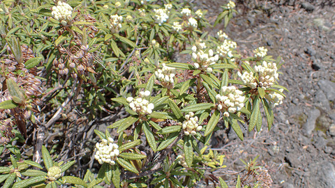 P6020143