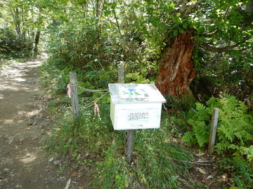 DSCN4227