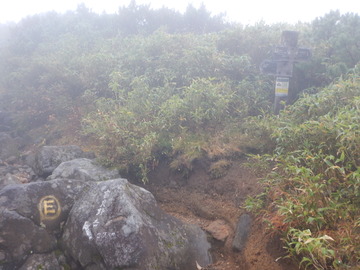 DSCN6834