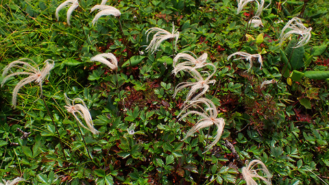 P8250127