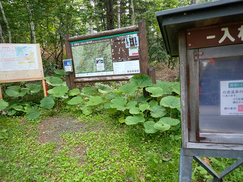 P7050200