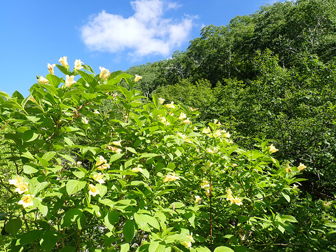 P7120038