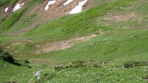 P6300098