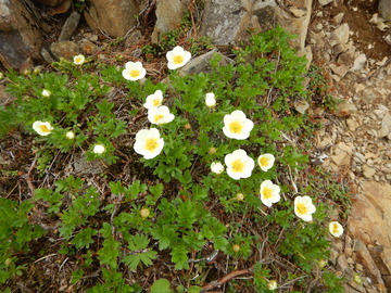 DSCN5052