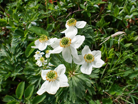 P7130101