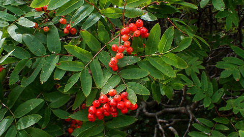 P8250108