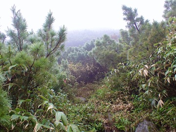 P7030051
