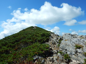 DSCN3947