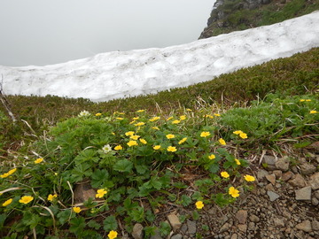 DSCN5051
