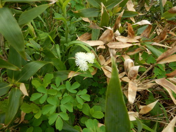 DSCN5028