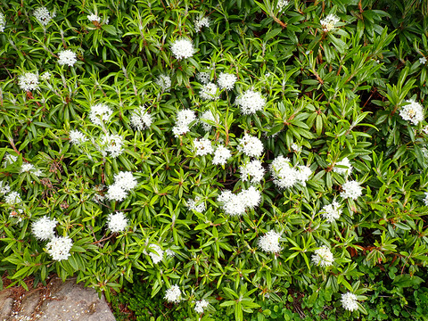 P7130036