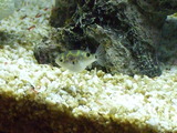 DSCF2972