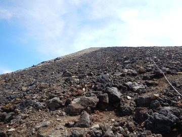 DSCN7431