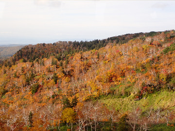 PA090205