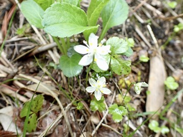 P7030166