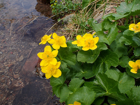 P7060169