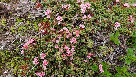 P6230084