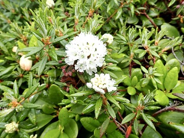 P7030145
