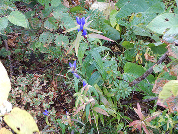 DSCN0776
