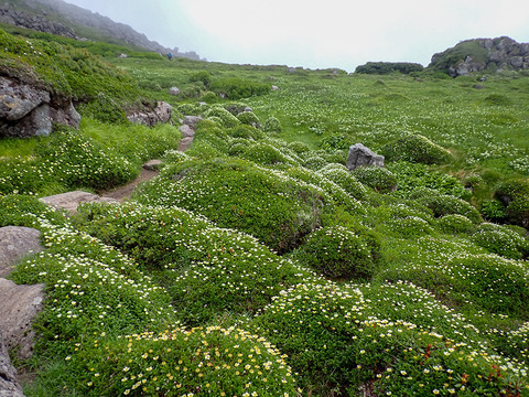 P7120200