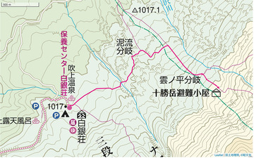 ��岹�������������񾮲�