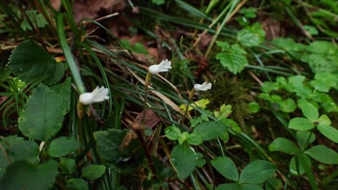 P8030031