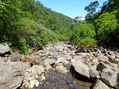 P7130266