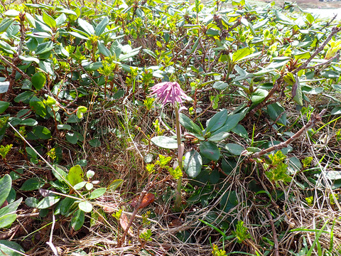 P7050067