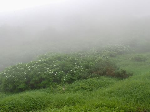P7130083