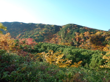 DSCN2110