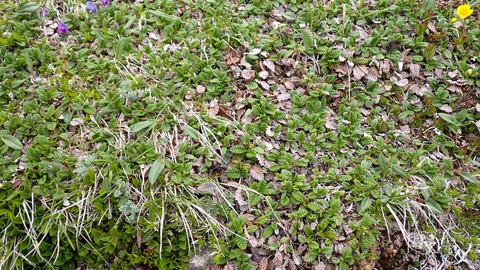P6230107