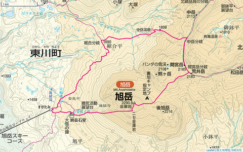 9e124bd5
