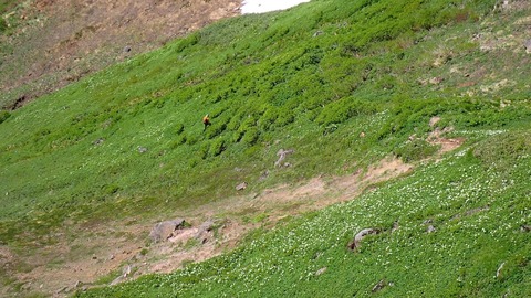 P6300101