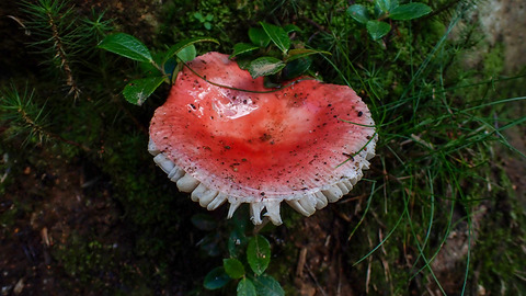 P9010126