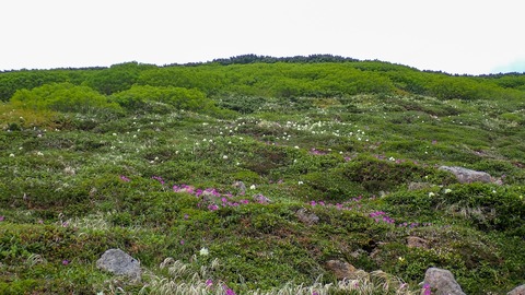P6230058